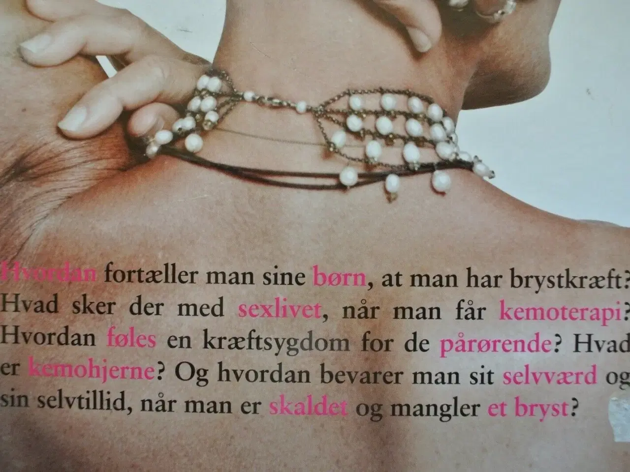 Billede 3 - tabuknuseren - to søstres fortælling om brystkræft
