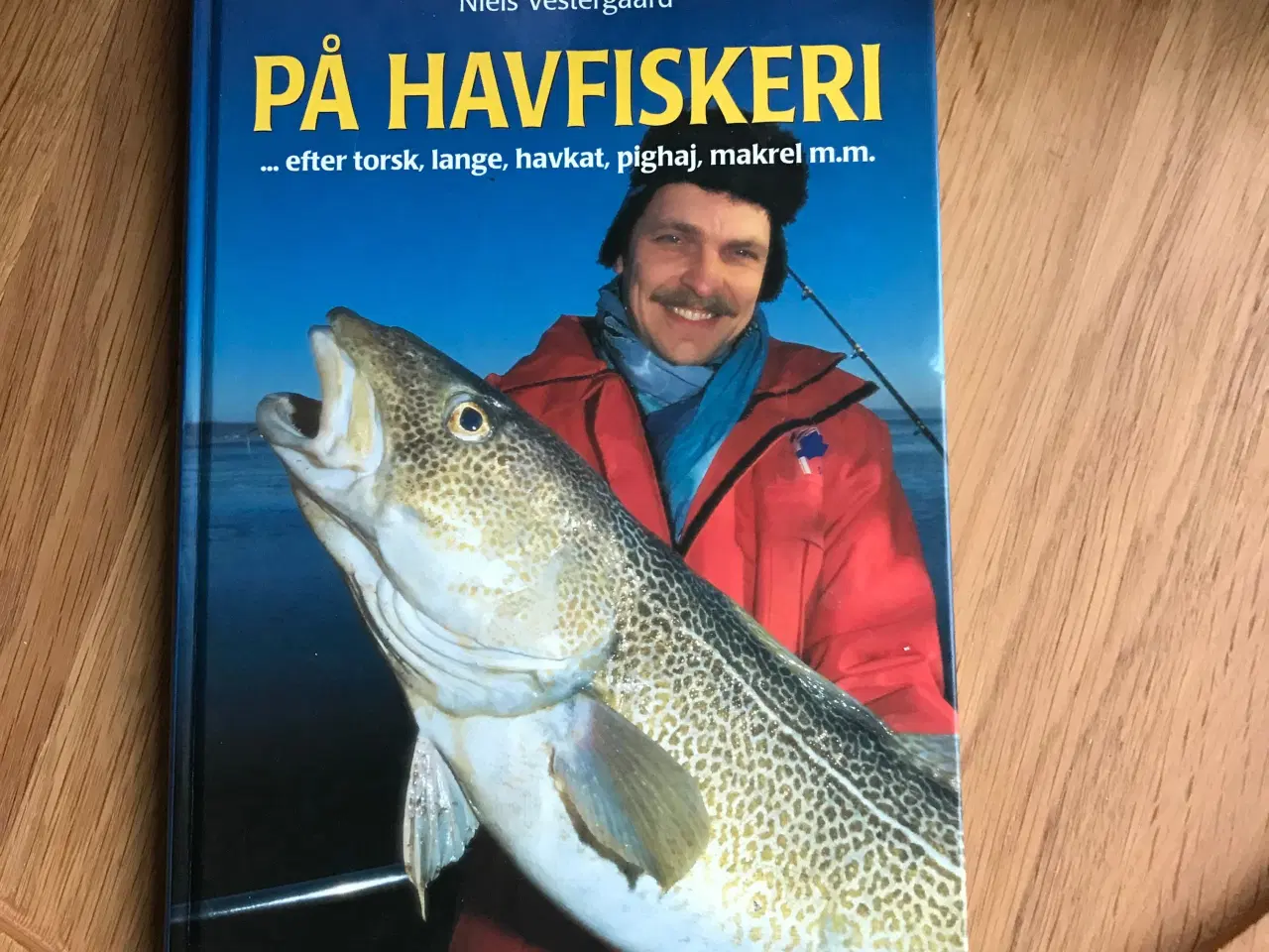 Billede 1 - På Havfiskeri - efter torsk, lange, havkat ...