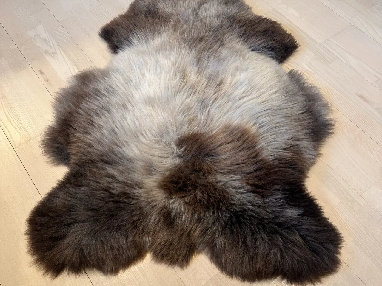 Billede 2 - Helt nyt lammeskind 