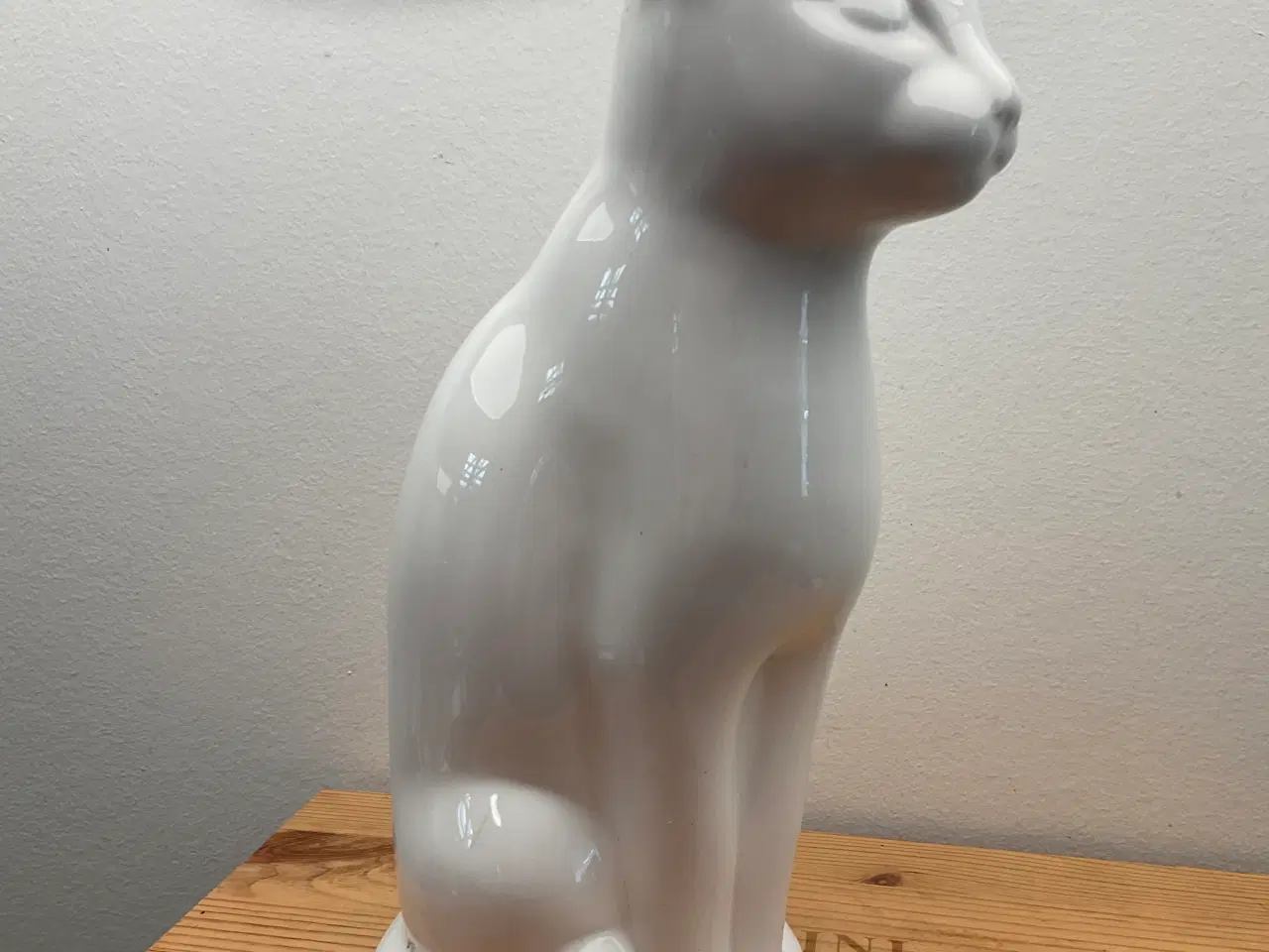 Billede 3 - Kat
