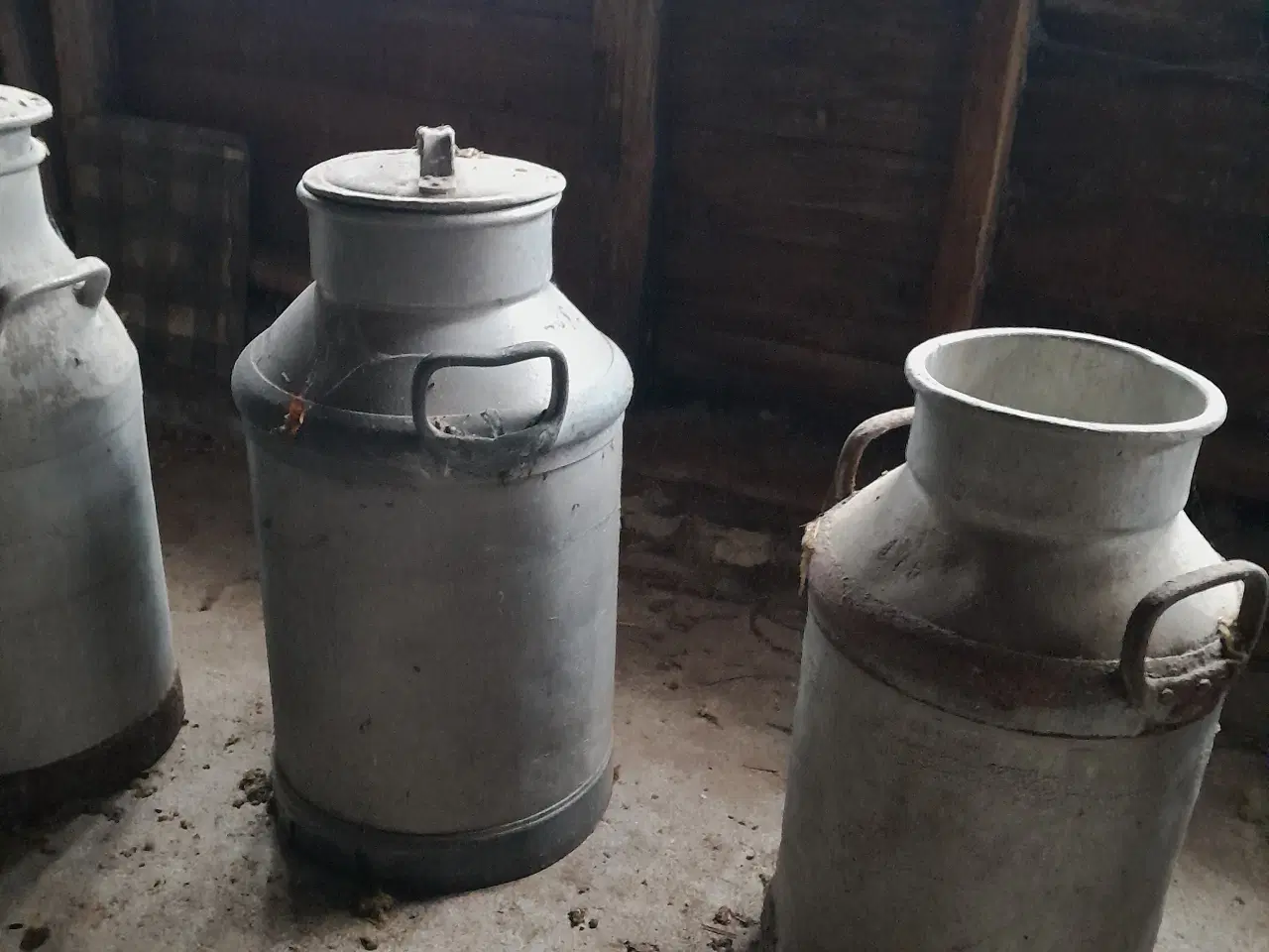 Billede 2 - Mælkejunge/mælkespand.