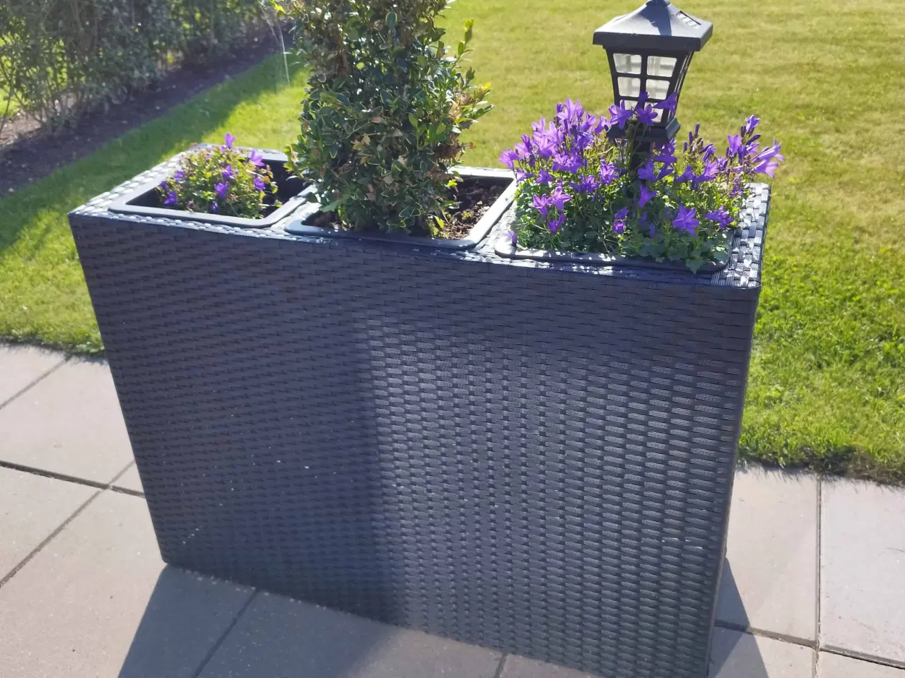 Billede 1 - Plantekasser med 3 rum, Rattan