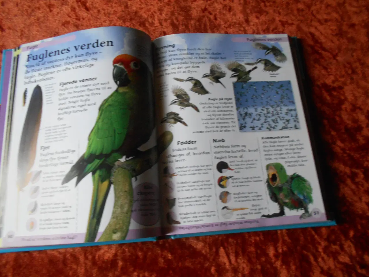 Billede 2 - Dyreleksikon Penelope Arlon,