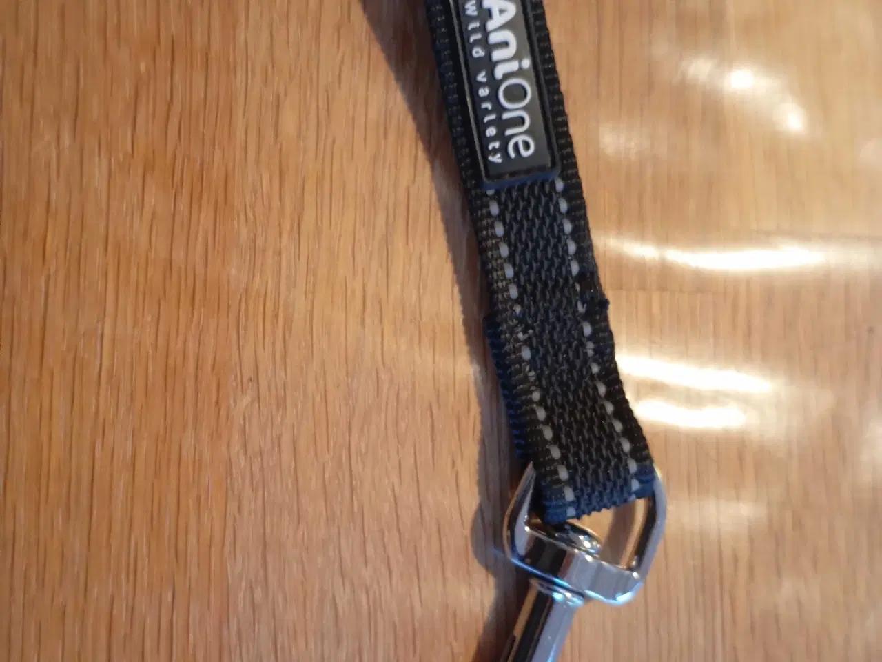 Billede 7 - Sporline / træningsline med jordspyd