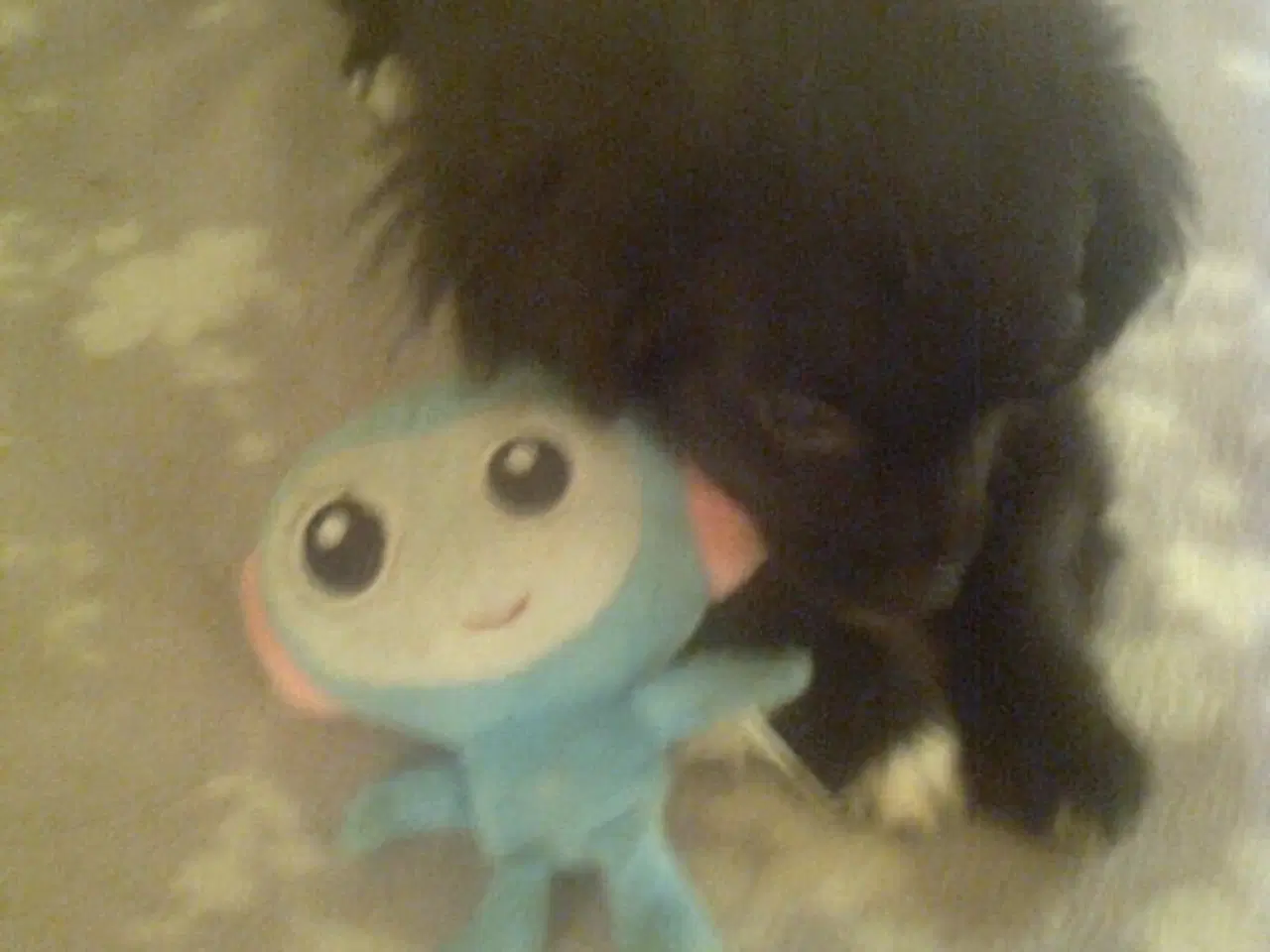 Billede 15 - Den kønneste dejlige blandingshvalp