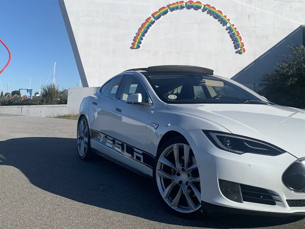 Billede 5 - EVETESLA - DRAGONTAIL - MODEL S - 21” GULDFÆLGE