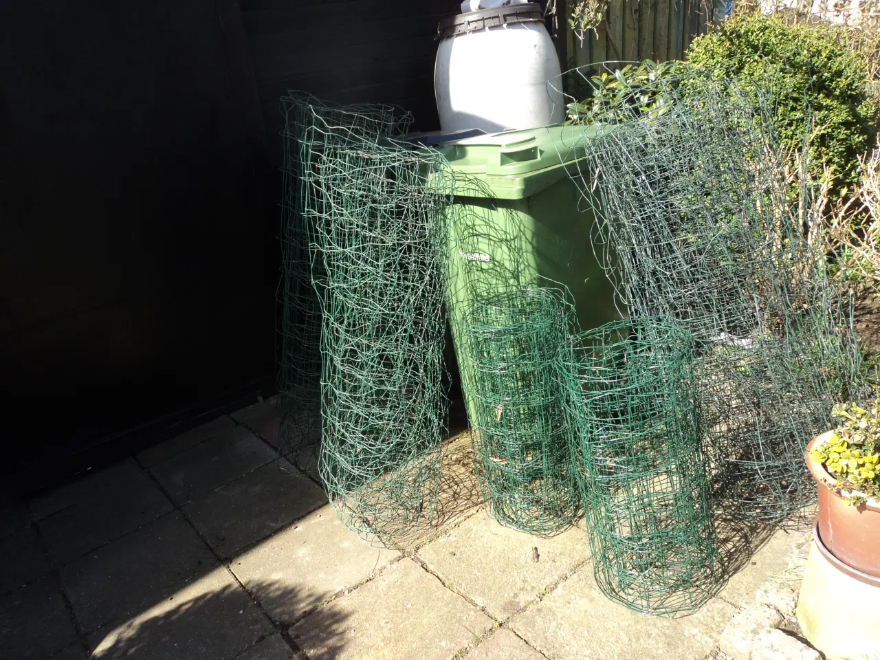 Billede 1 - Grøn havetråd