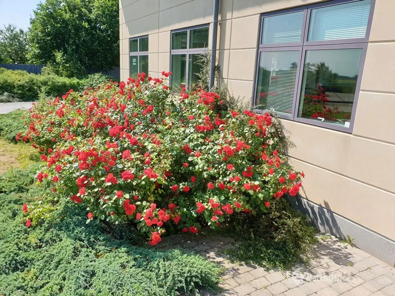 Billede 4 - Fjernlager og  produktions 275 kr./m²/år