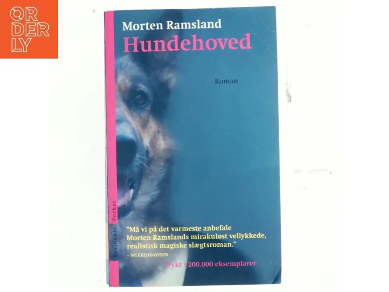 Billede 1 - Hundehoved : roman af Morten Ramsland (Bog)