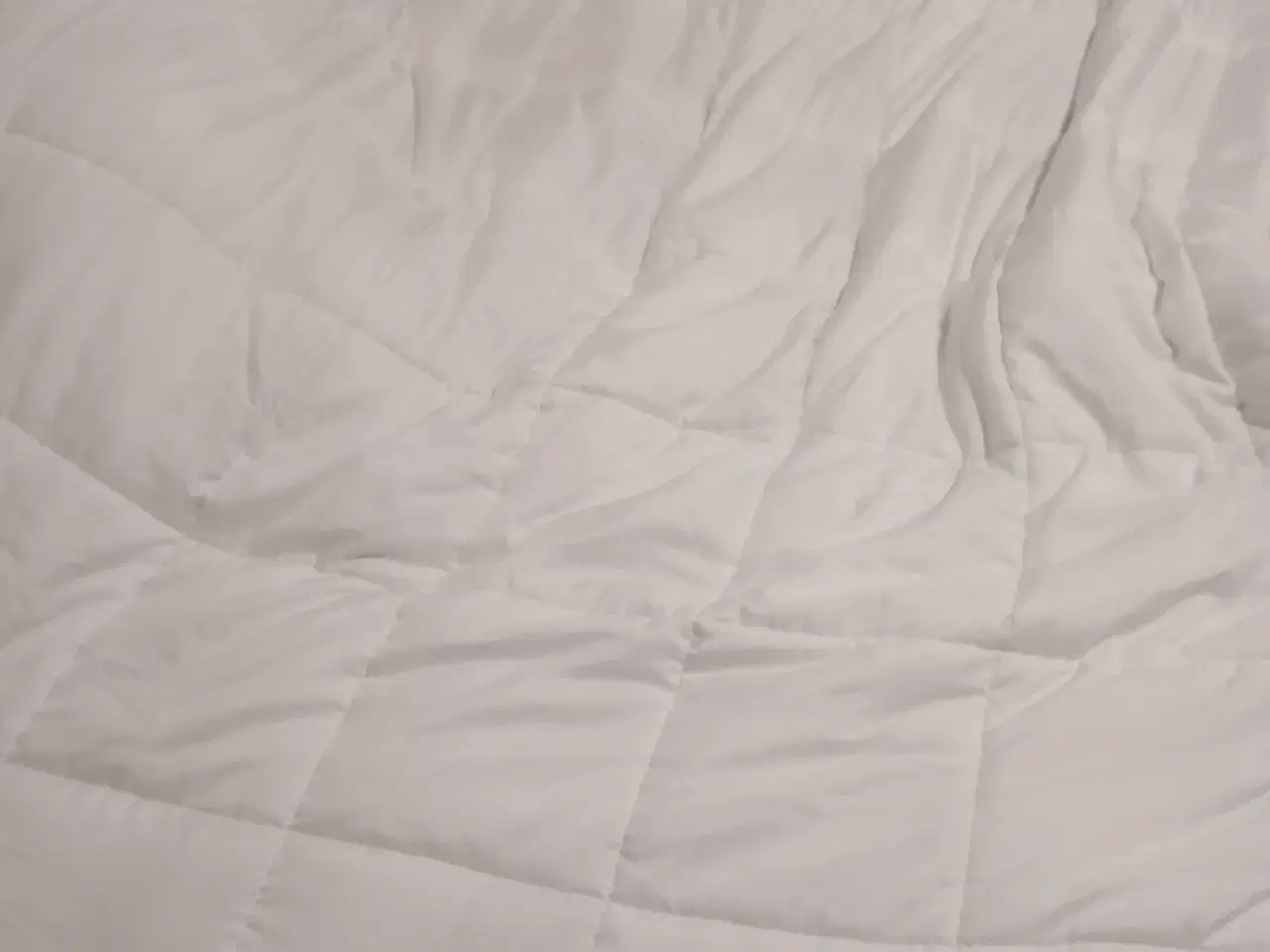 Billede 2 - Tyngdedyne