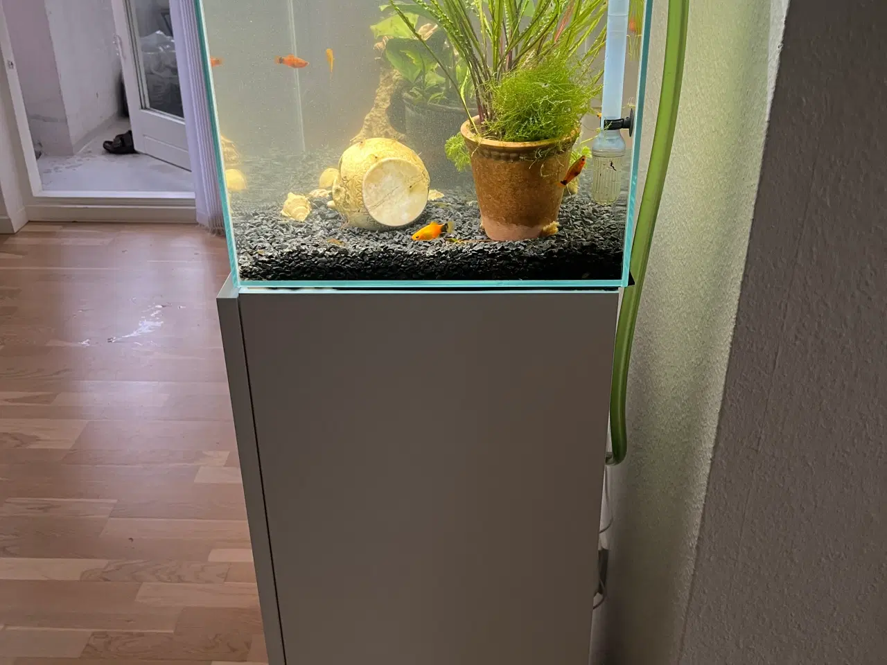 Billede 5 - 60L akvarium med møbel + pumpe 
