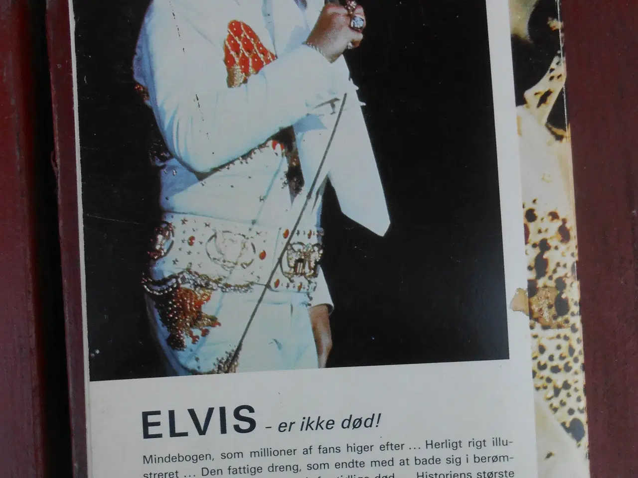 Billede 9 -   Elvis. Kim Larsen. Tommy Steele.