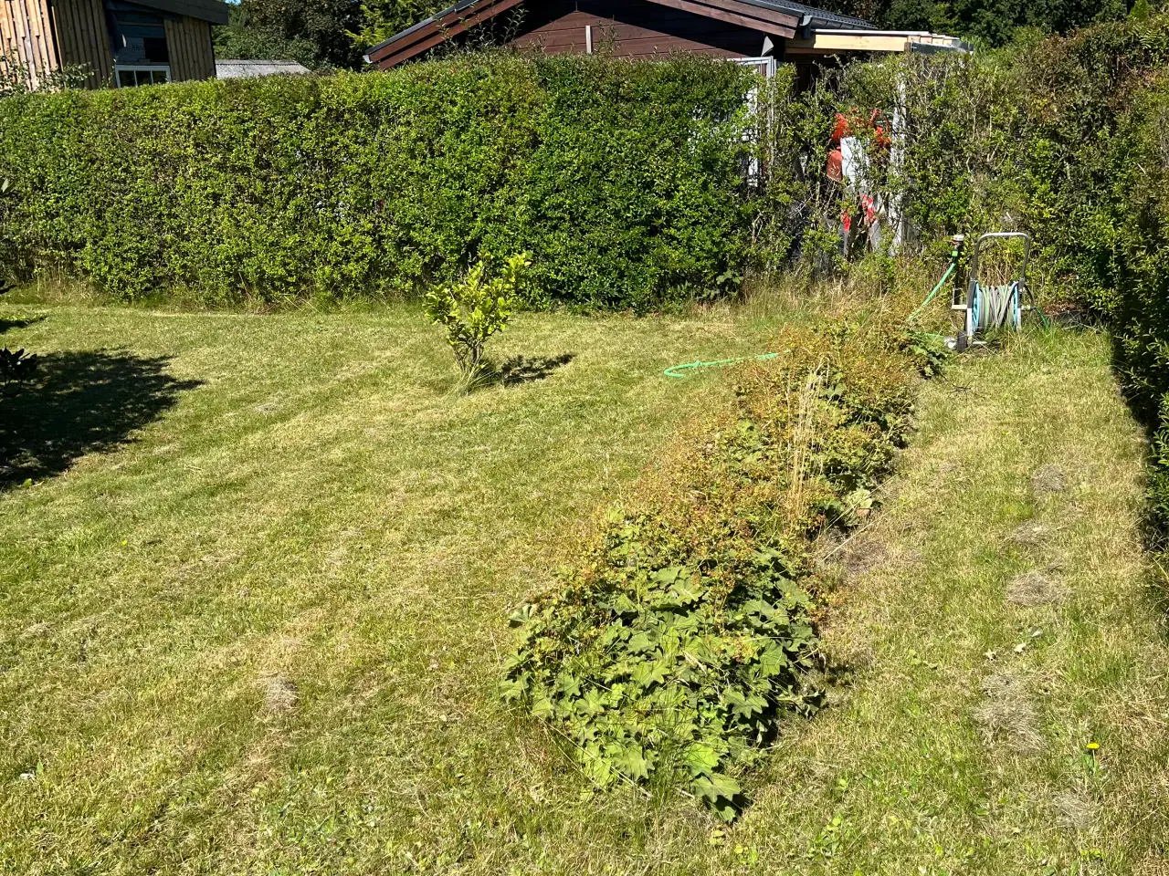 Billede 6 - Kolonihave til salg