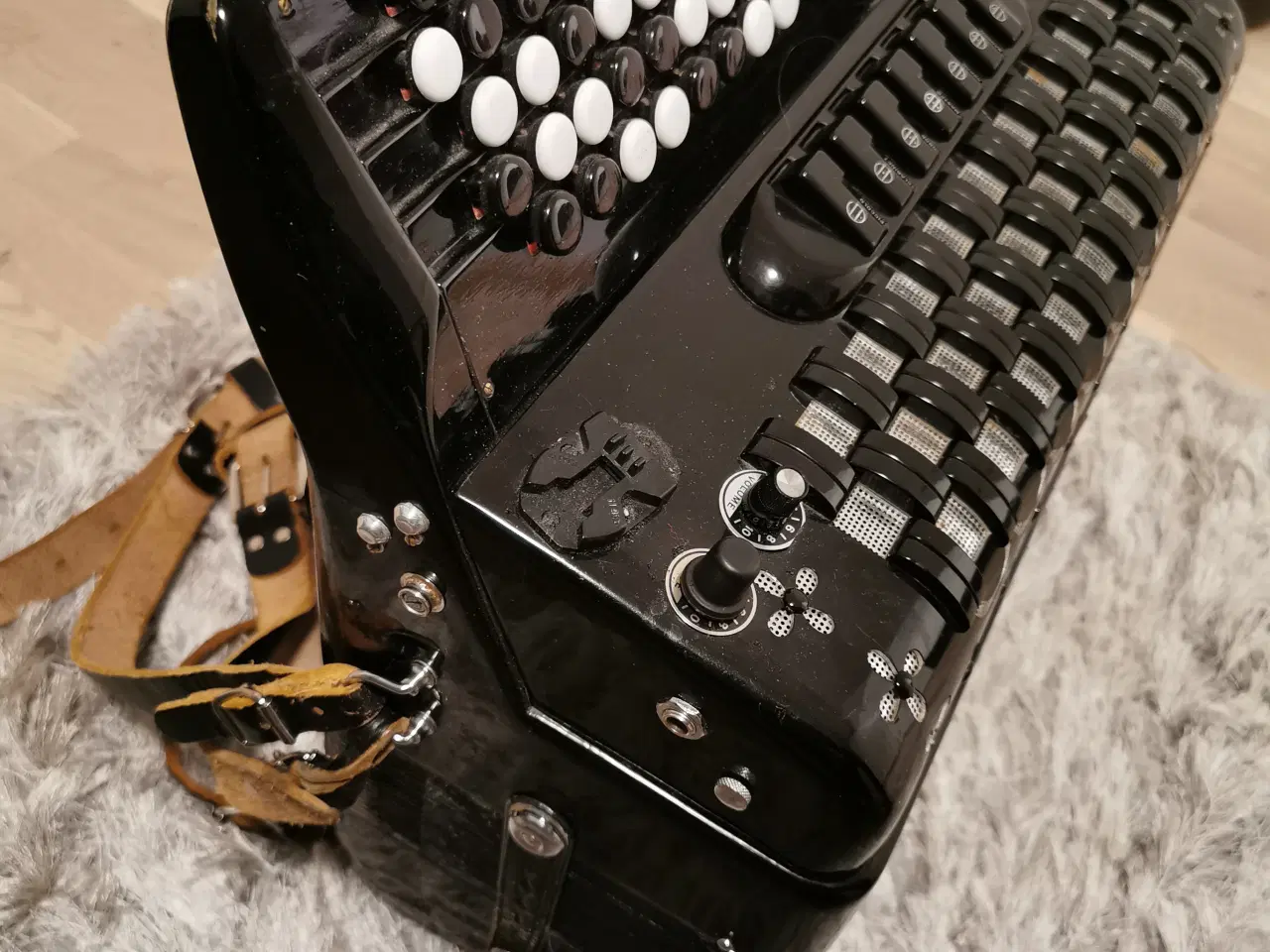 Billede 5 - Harmonika Bugari Banger casotto