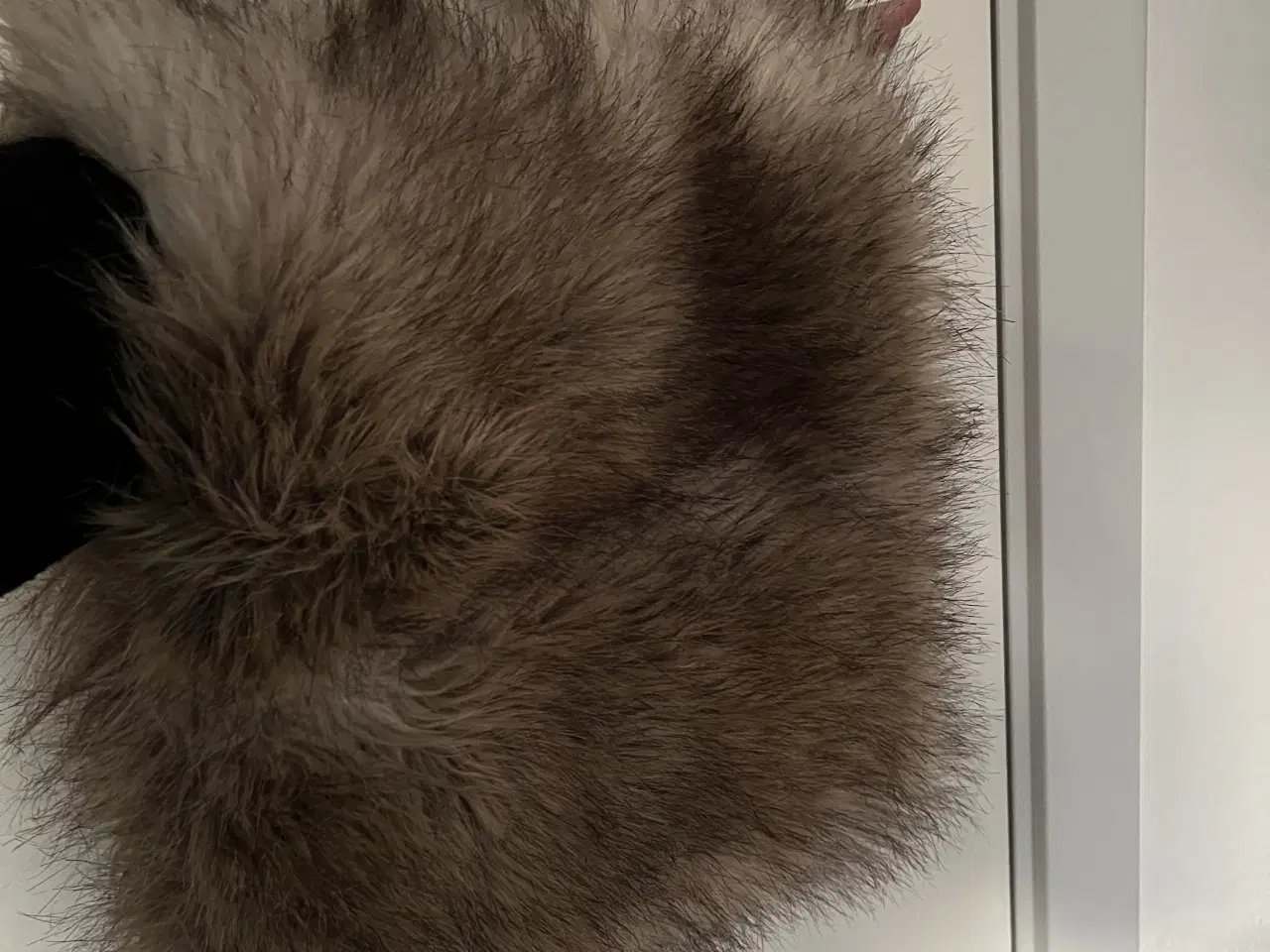 Billede 2 - Halsedisse