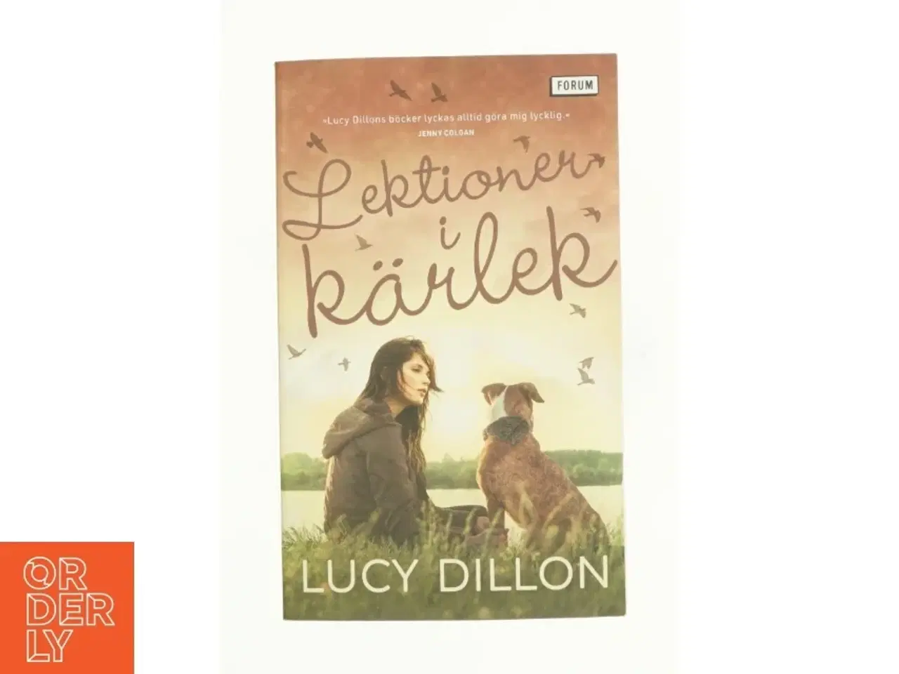 Billede 1 - Lektionen i k&#228;rlek af Lucy Dillon (bog)