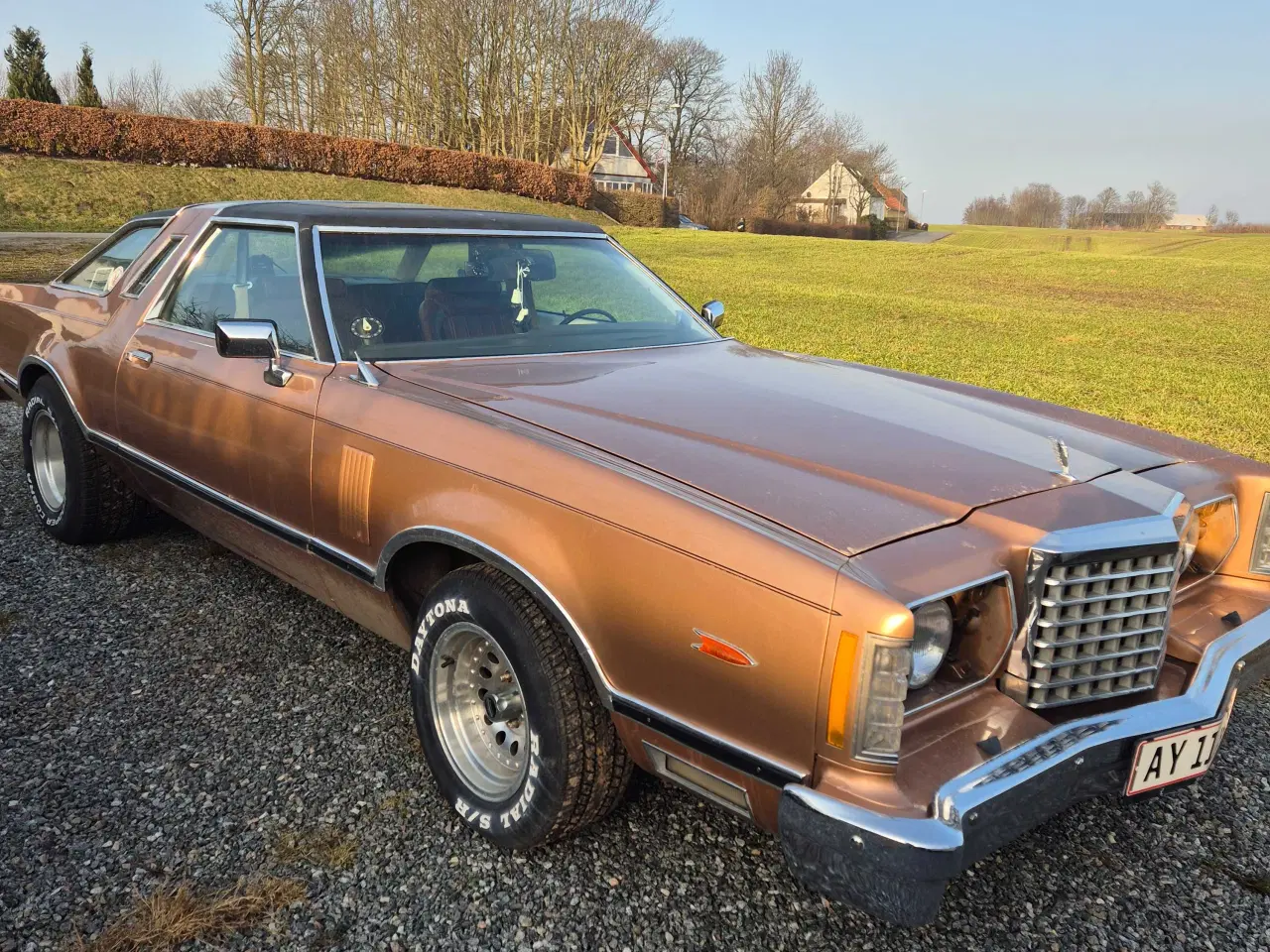 Billede 4 - Rigtig fin Ford Tunderbird 