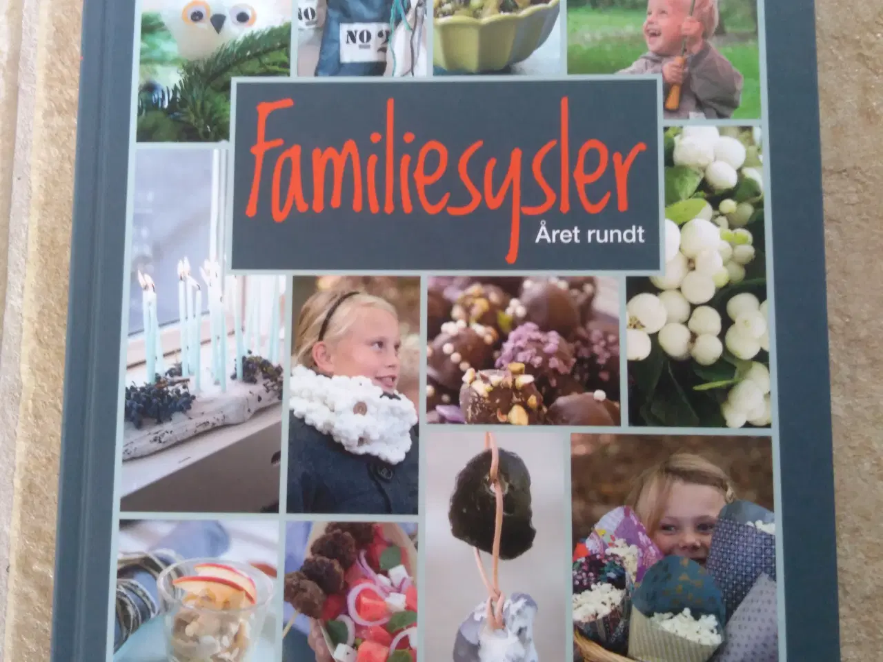Billede 1 - Bog: Familiesysler Året rundt