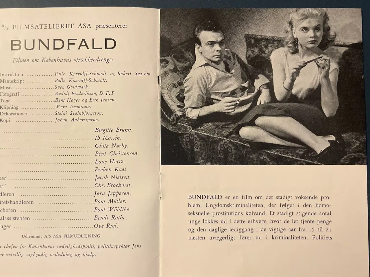 Billede 2 - Bundfald