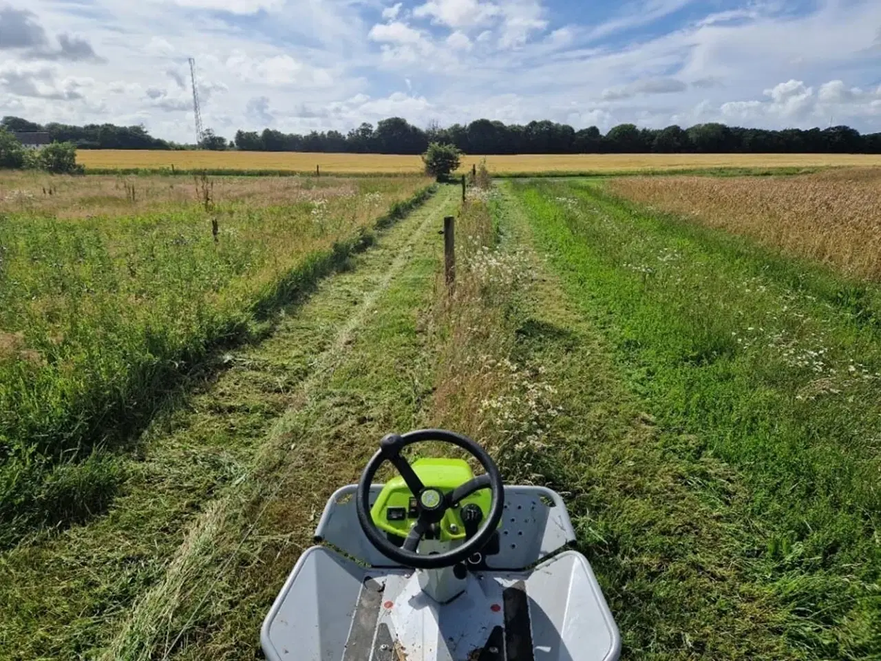 Billede 9 - Grillo Climber 8.22