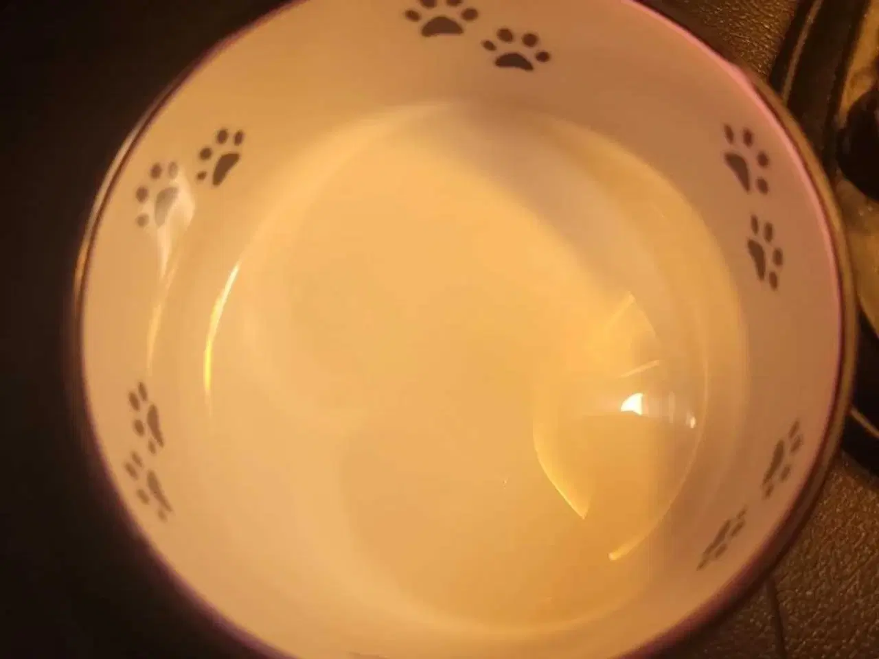 Billede 2 - Lilla Kæledyrsskål Str S