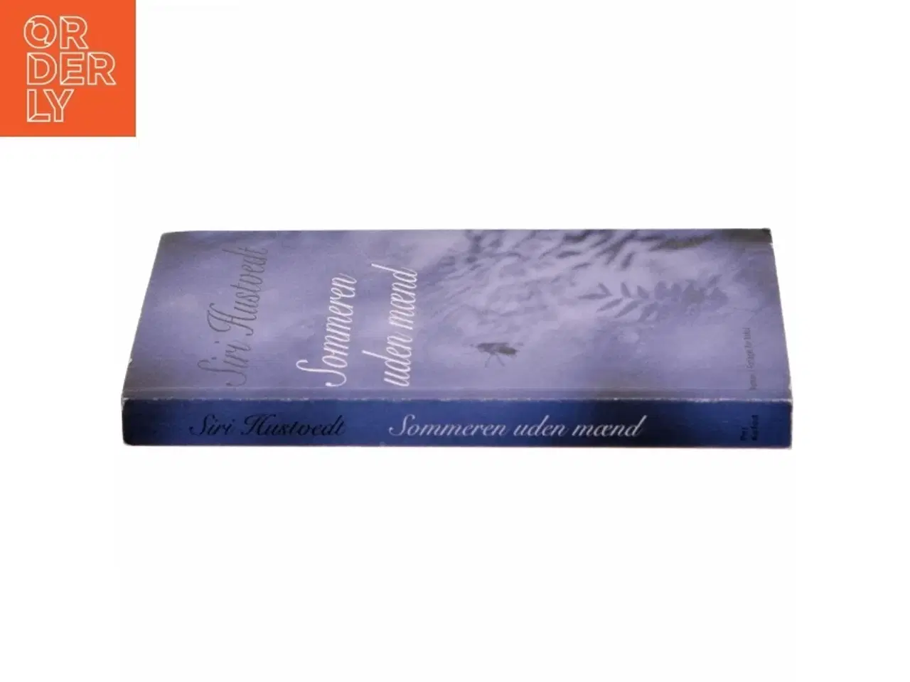 Billede 2 - Sommeren uden mænd : roman af Siri Hustvedt (Bog)