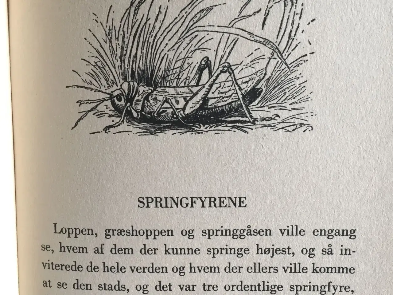 Billede 9 - Fin gammel eventyrbog