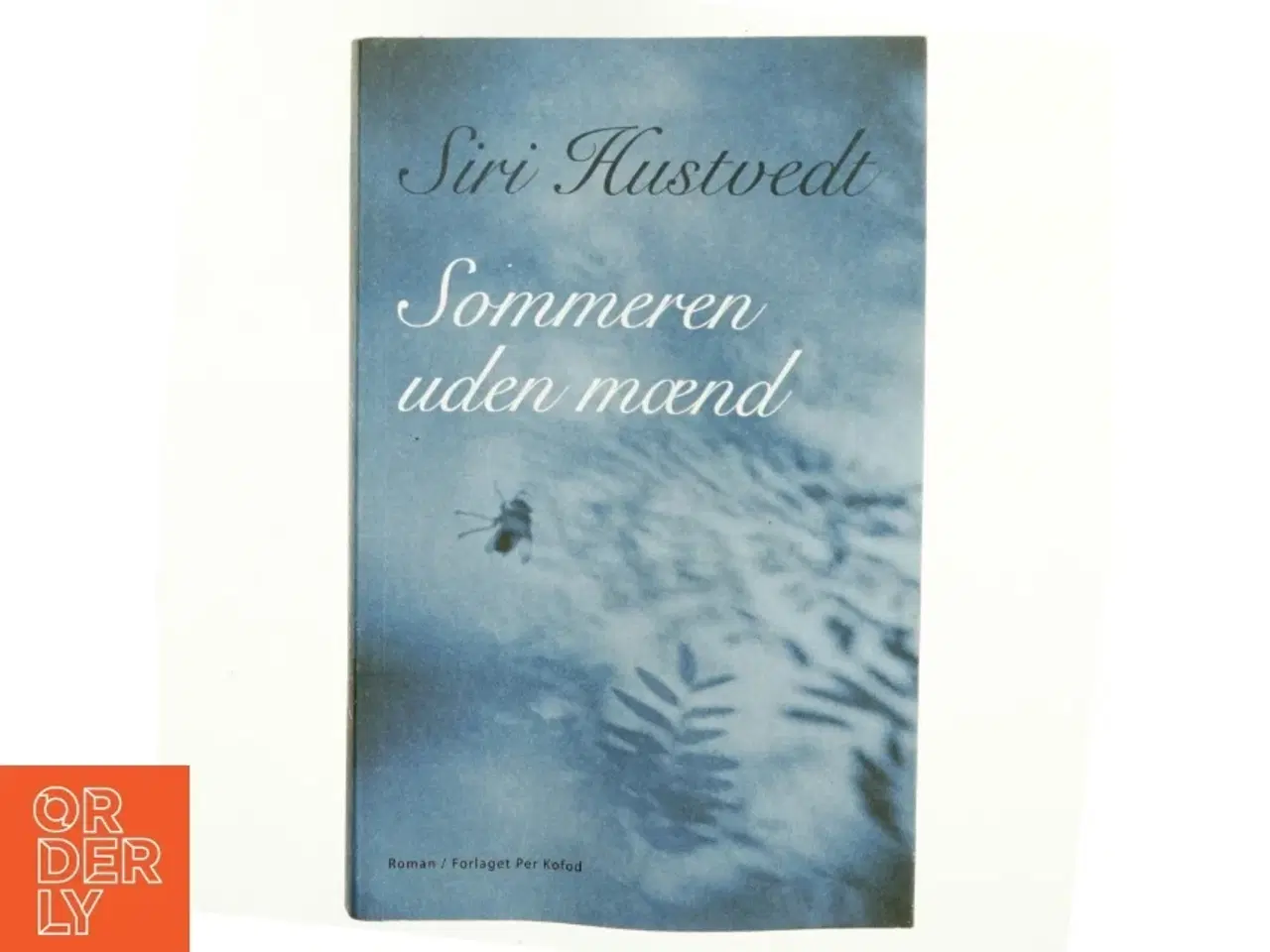 Billede 1 - Sommeren uden mænd : roman af Siri Hustvedt (Bog)