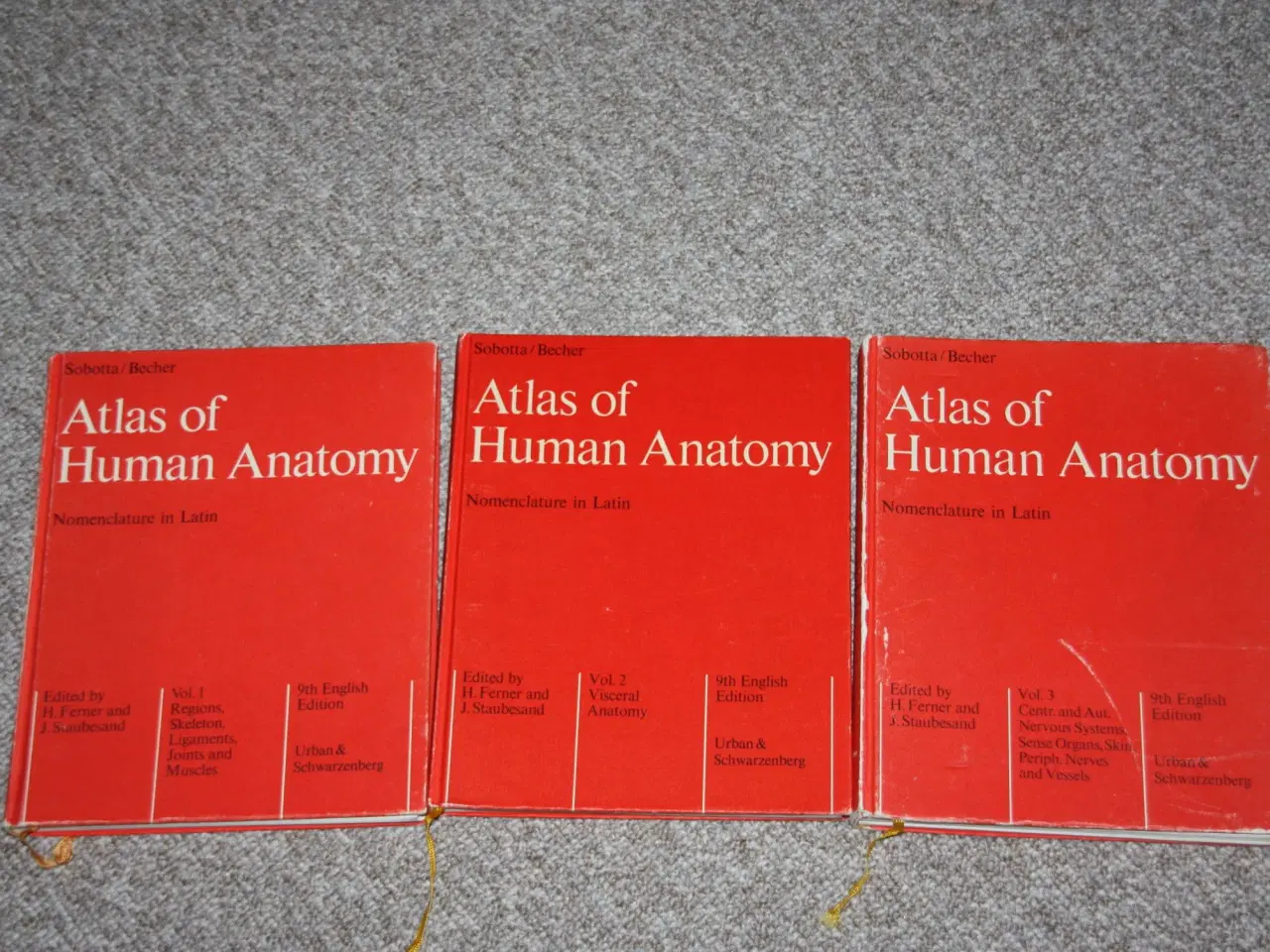Billede 1 - Atlas of Human Anatomy af H.Ferner