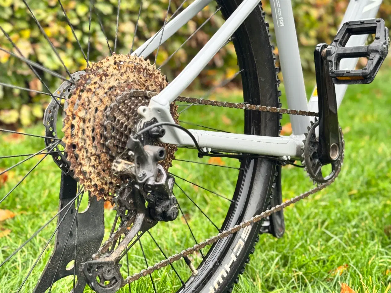 Billede 4 - Grand Canyon AL 6 str S