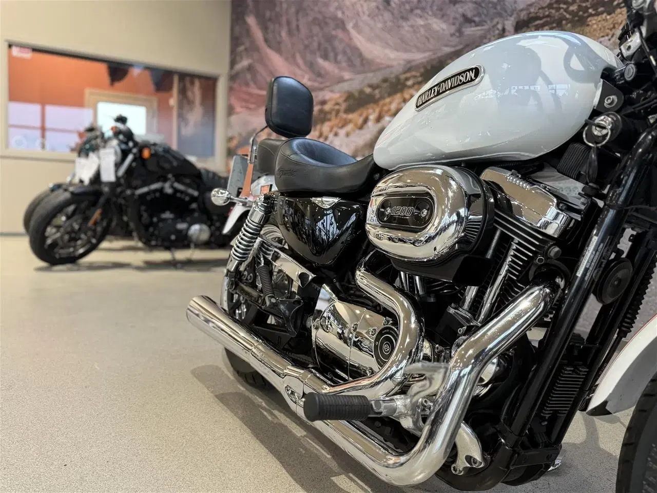 Billede 12 - Harley-Davidson XL 1200 L Sportster Low