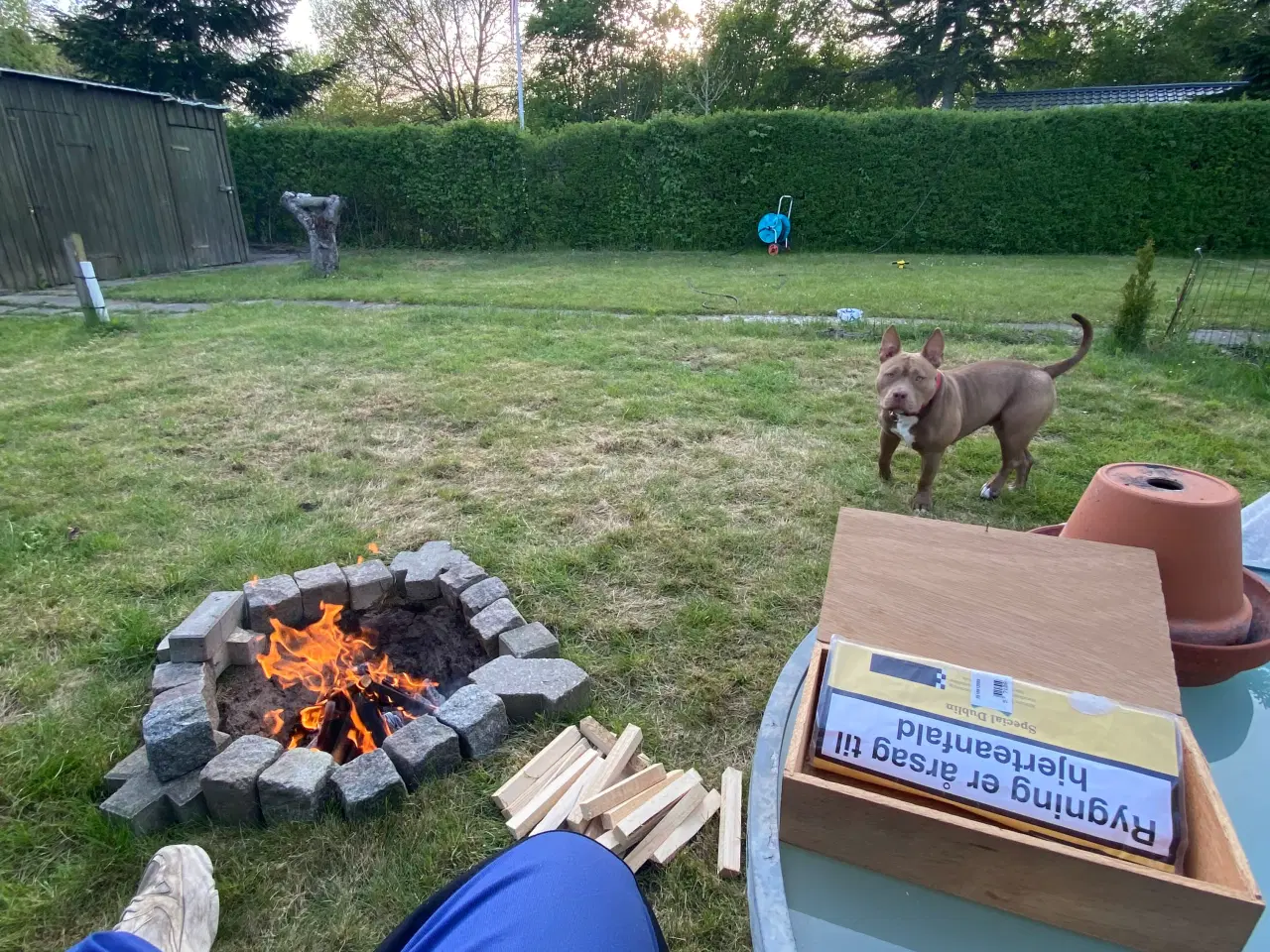 Billede 15 - Kolonihave til salg