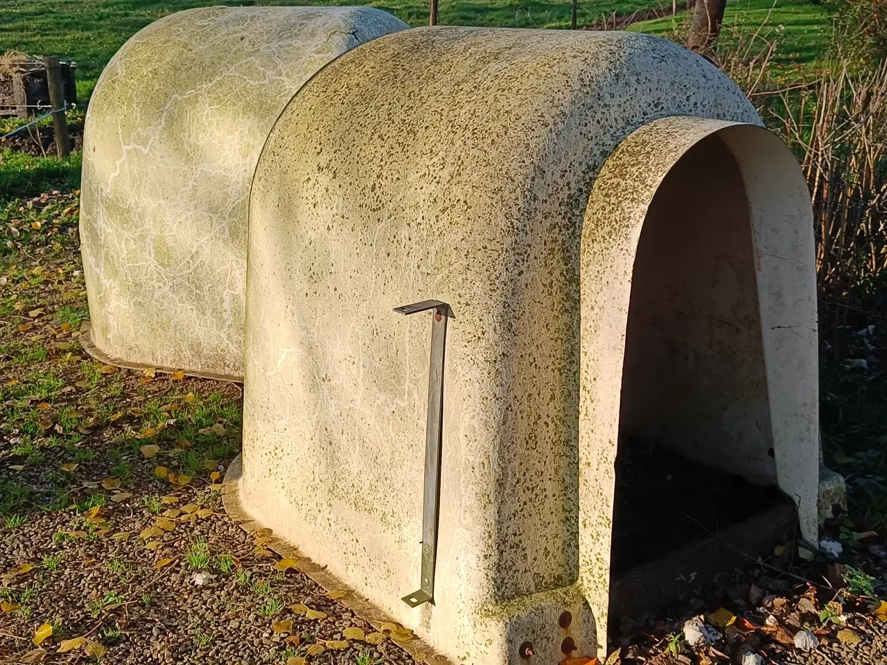 Billede 2 - 2 kalve-igloer