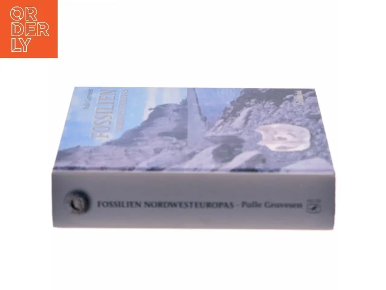 Billede 2 - Fossilien Nordwesteuropas af Palle Gravesen (Bog)