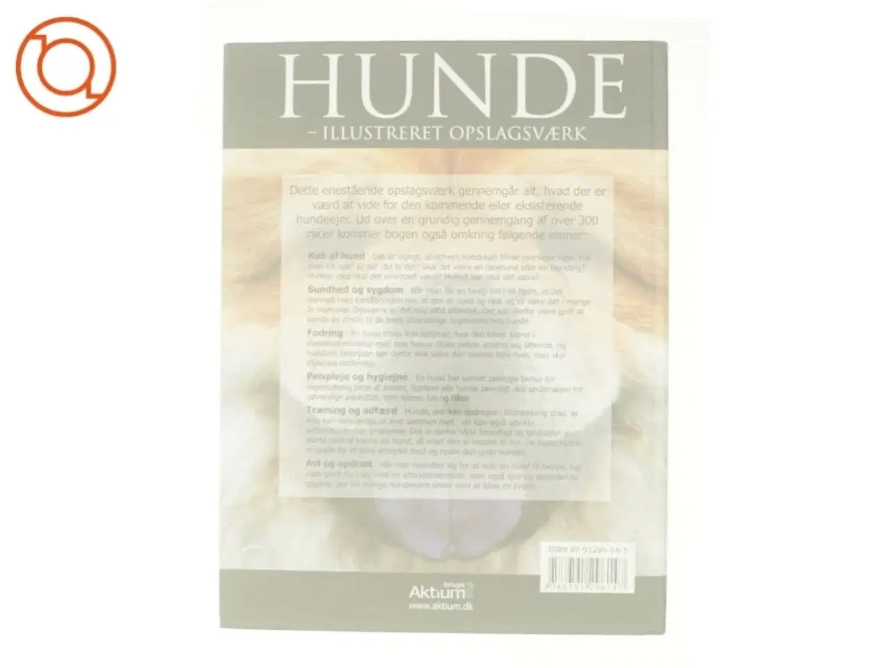 Billede 2 - Hunde - illustreret opslagsværk (Bog)
