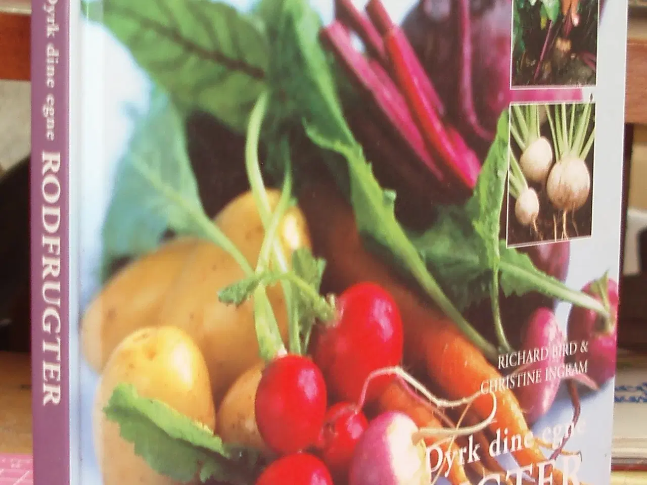 Billede 1 - Dyrk dine egne Rodfrugter