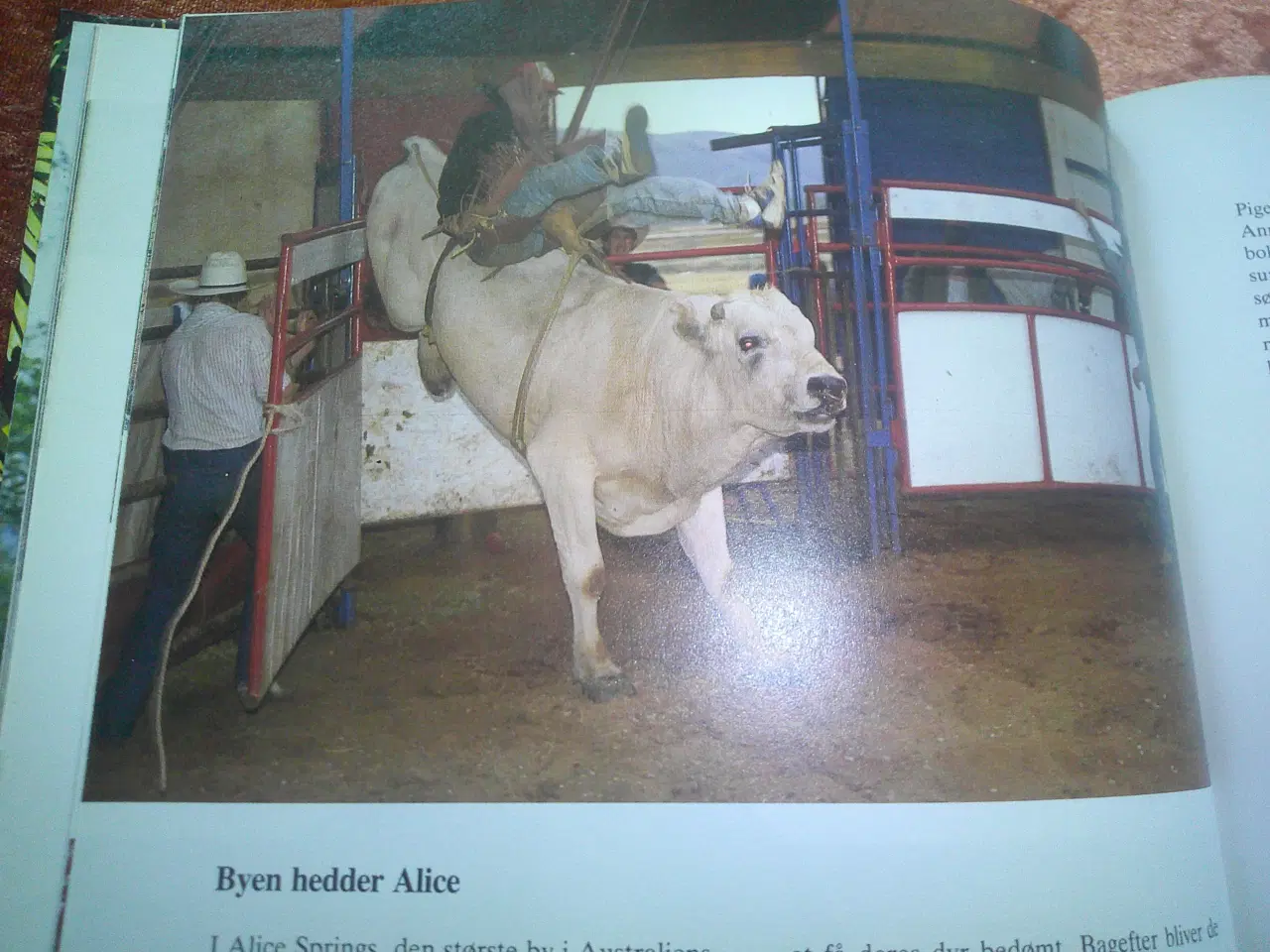 Billede 4 - Hvor er verdens navle?, Søren & Ulla Koustrup