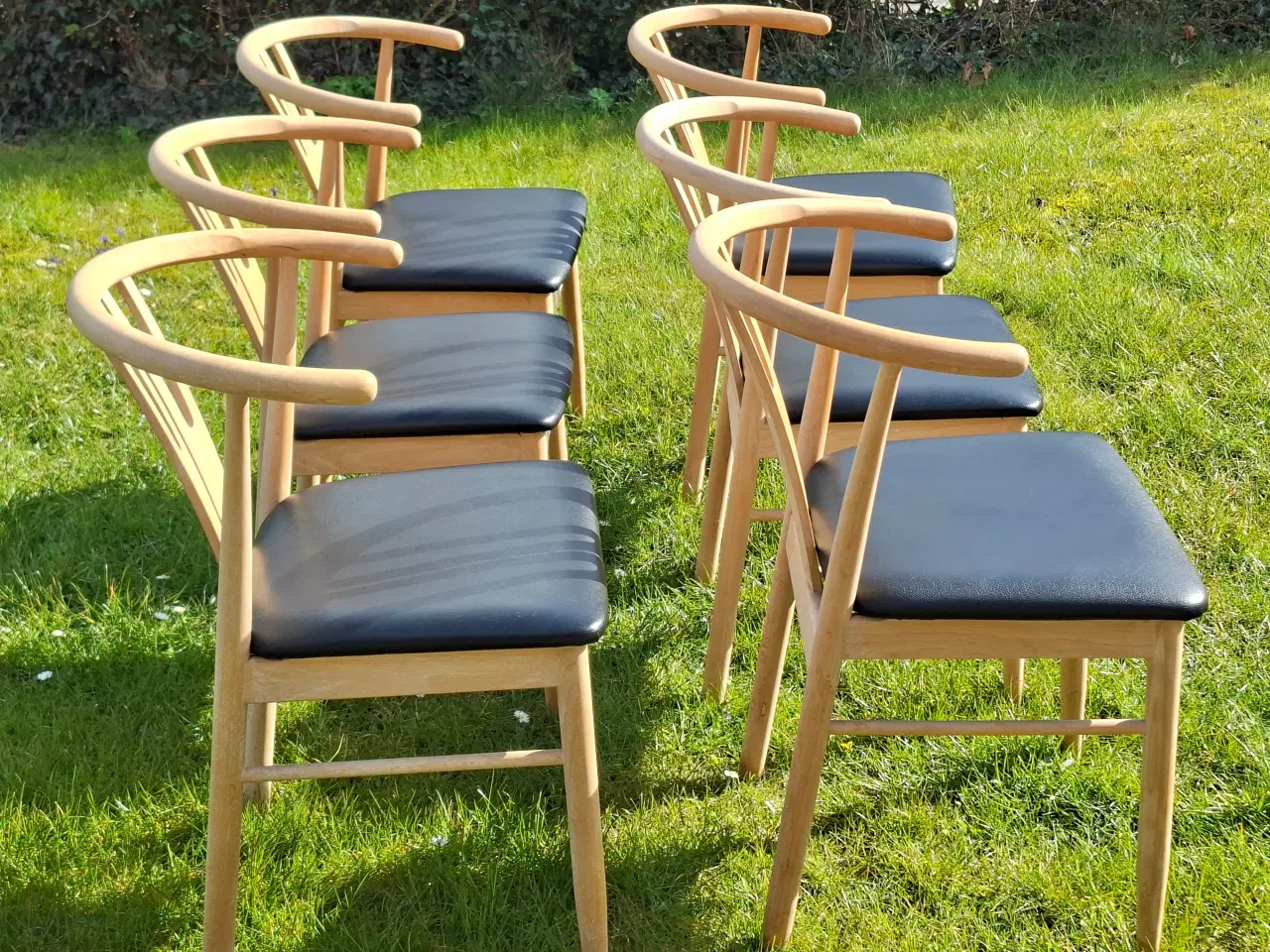 Billede 2 - 6 stk flotte "Vega" spisebordsstole 