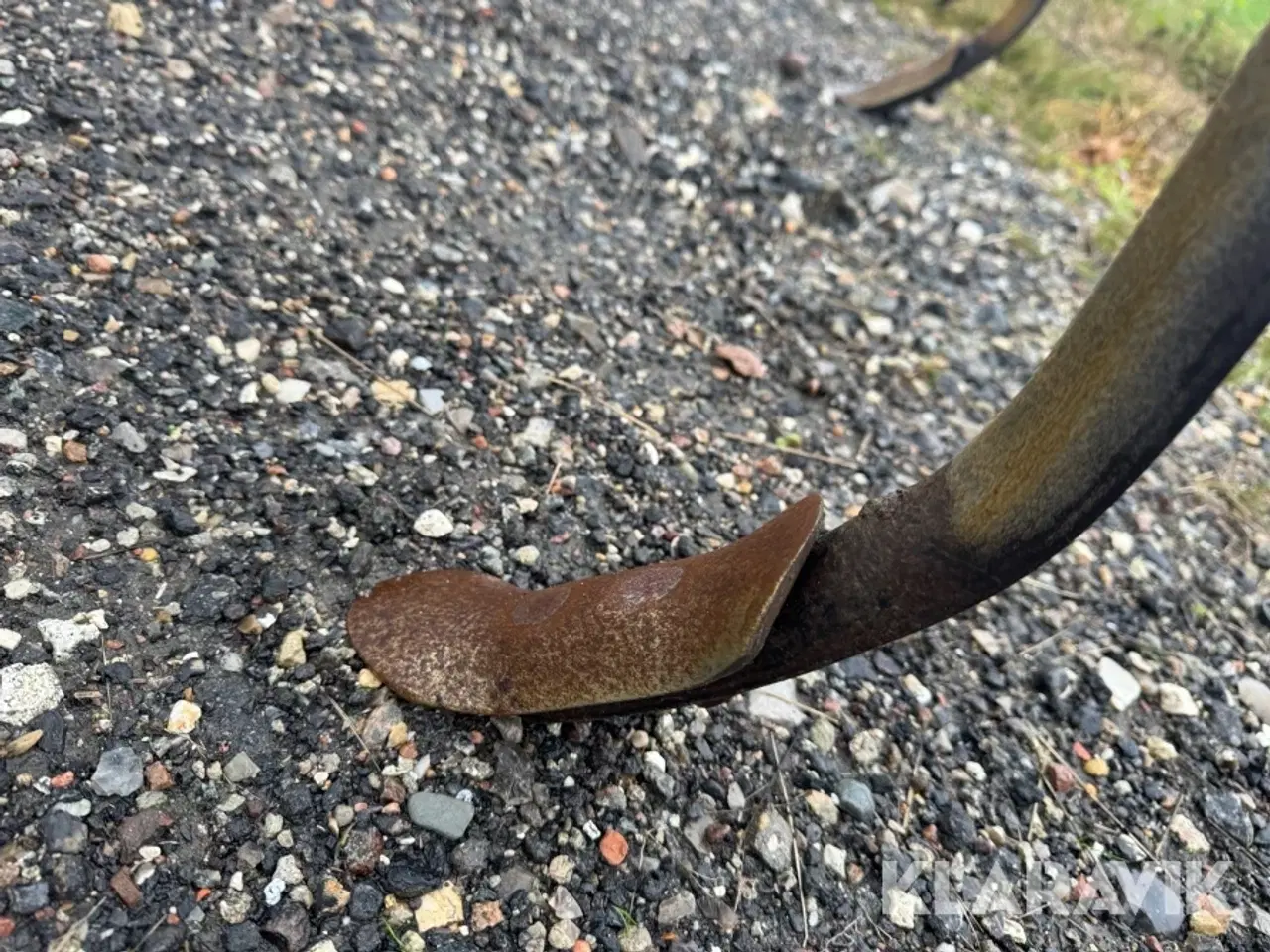 Billede 9 - Harve Kongskilde Vibro Flex 4300