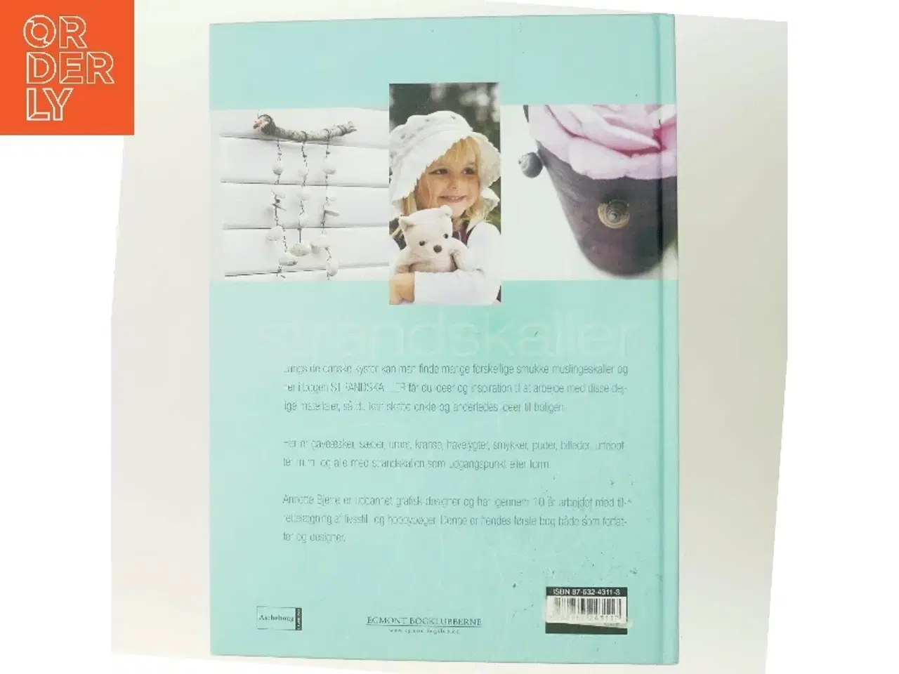 Billede 3 - Strandskaller : ideer og pynt til boligen af Annette Bjerre (f. 1967-08-30) (Bog)