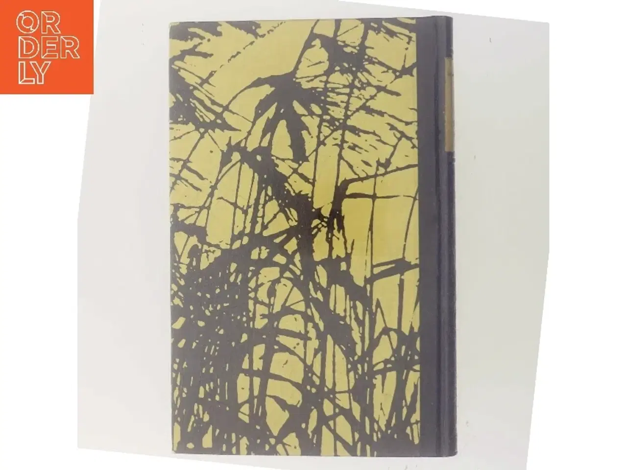 Billede 3 - Den nøgne kvinde af Carsten Andersen (Bog)