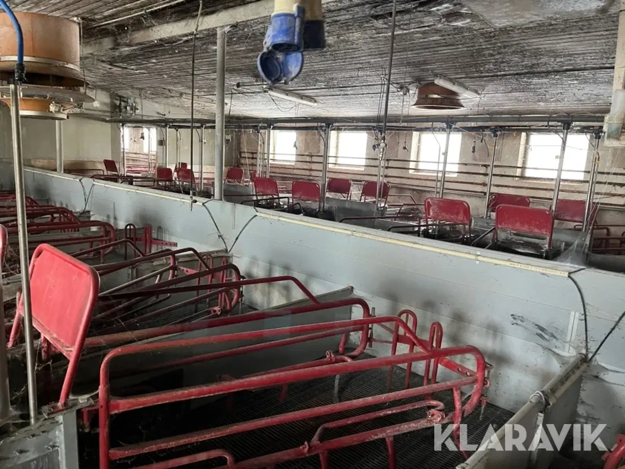 Billede 9 - Grisse stald