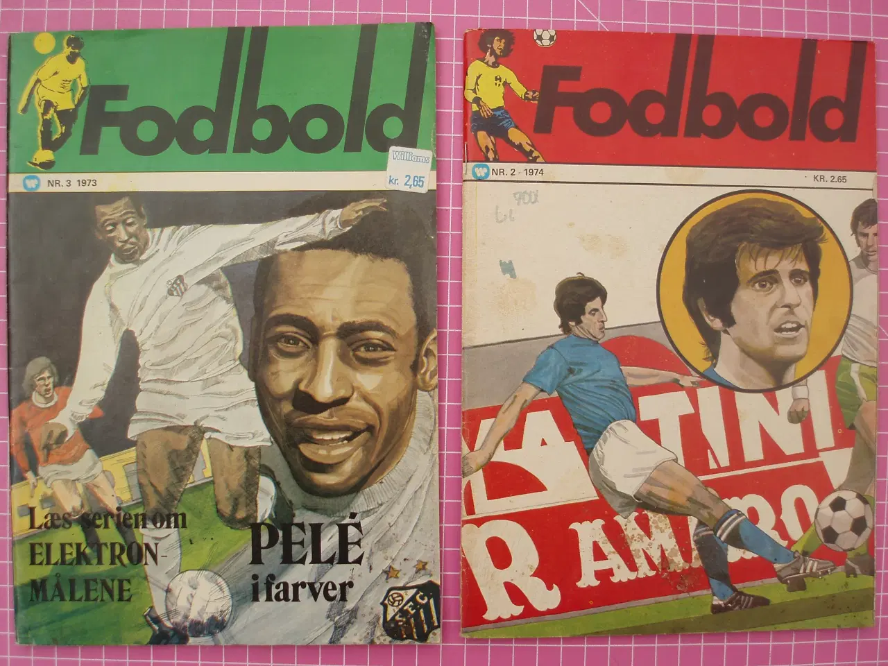 Billede 1 - Fodbold blade