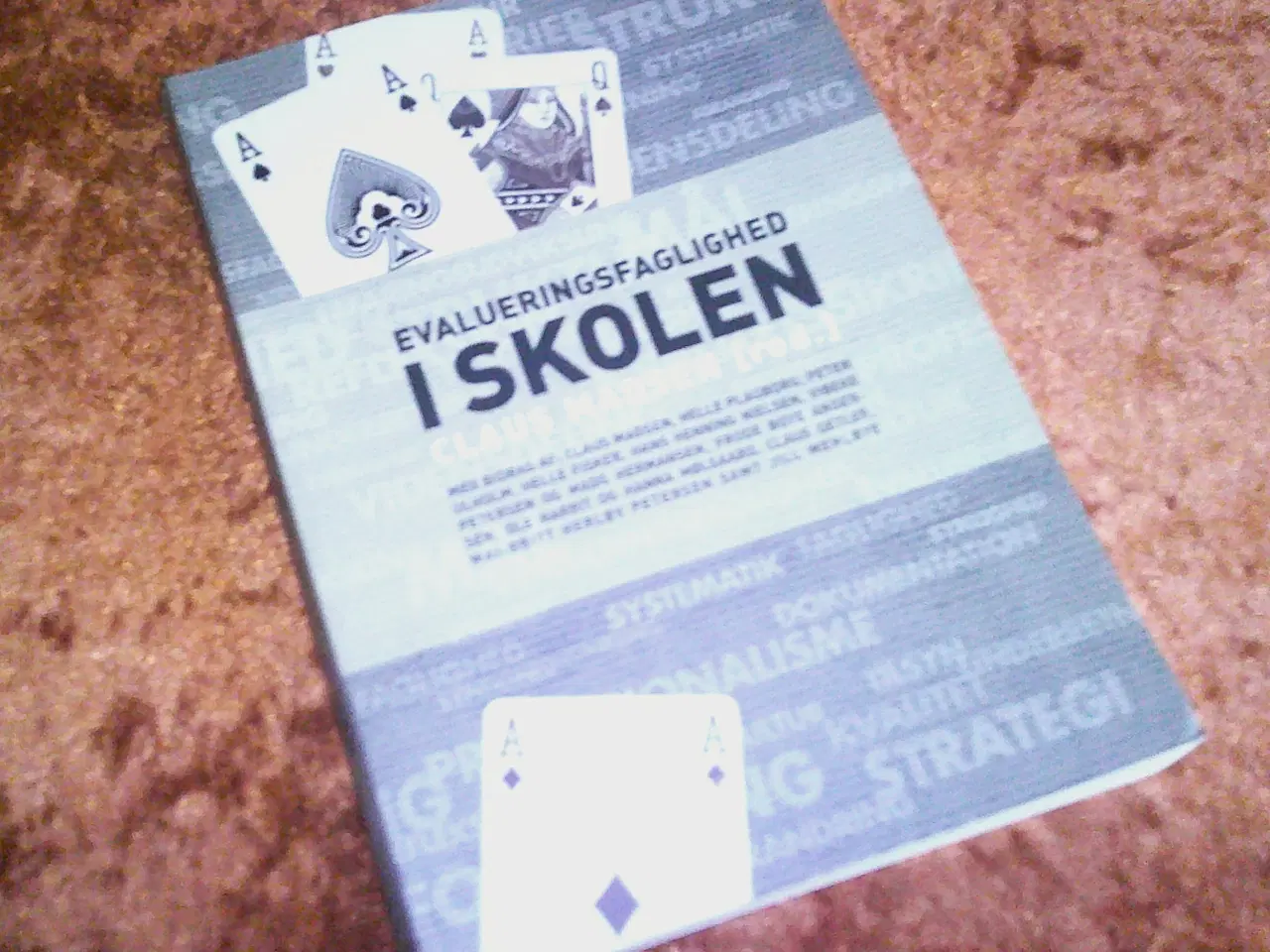 Billede 1 - Evalueringsfaglighed i skolen, Claus Madsen