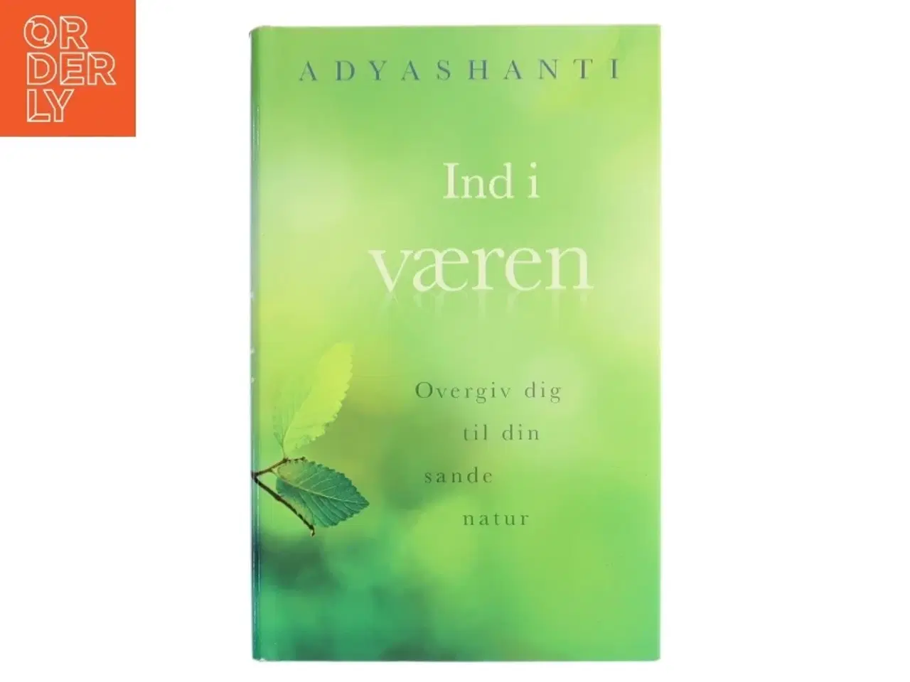 Billede 1 - Ind i væren : overgiv dig til din sande natur af Adyashanti (Bog)