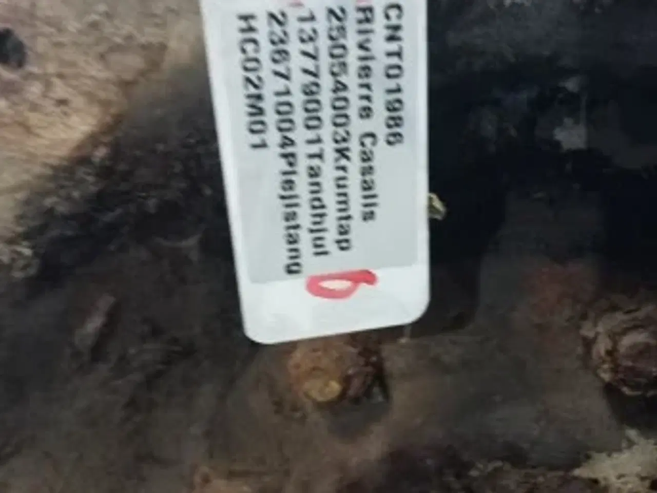 Billede 8 - Riviera Casalis RC8080 Krumtap 25054003