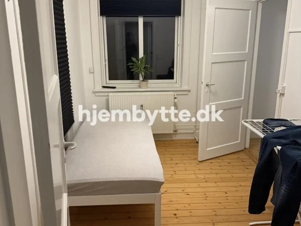 Billede 4 - Hjembytte - Tornskadestien