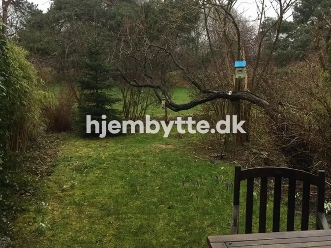 Billede 3 - Hjembytte - Knastebakken