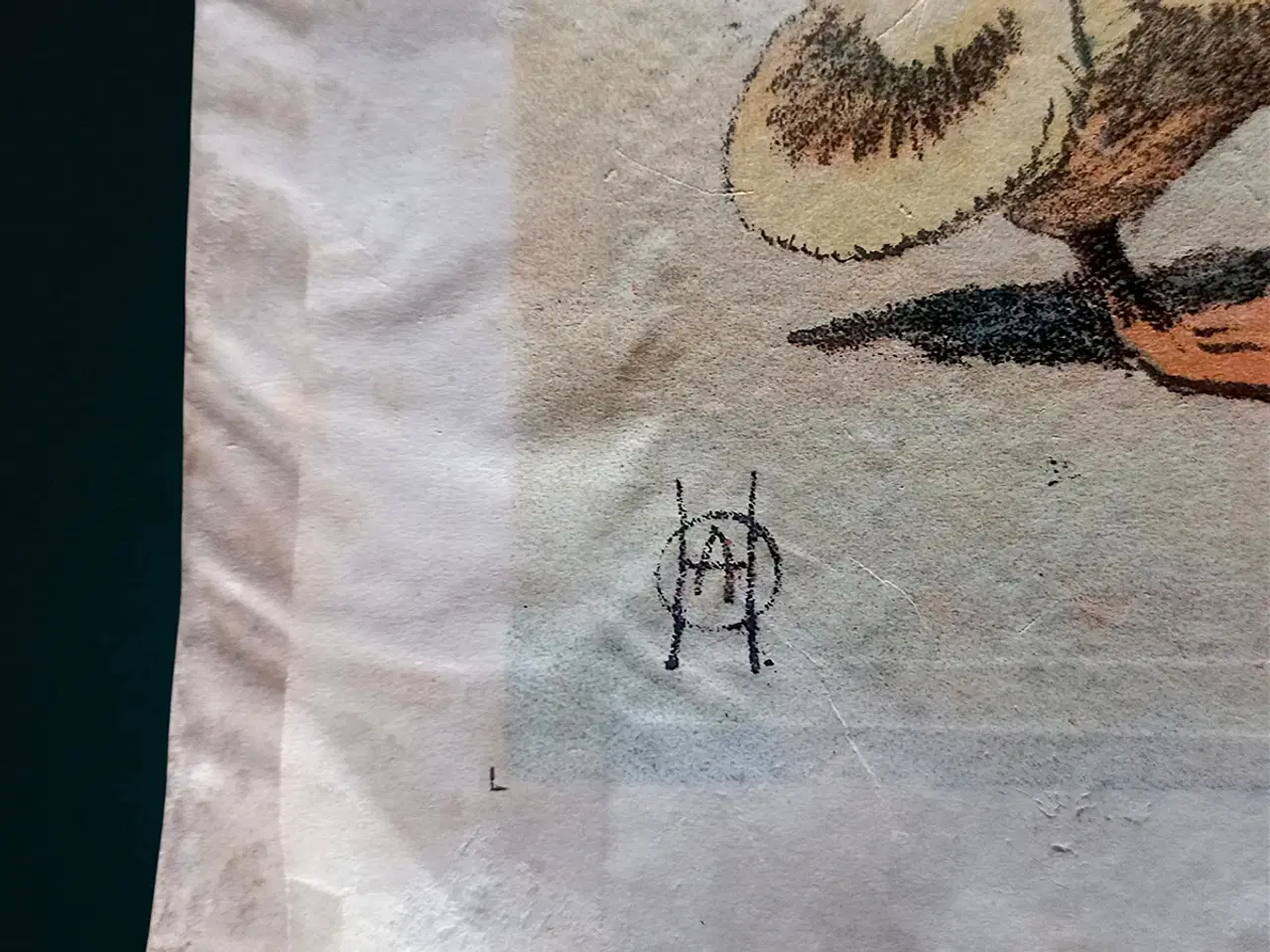 Billede 2 - Antik skoleplakat gråænder D.B.148