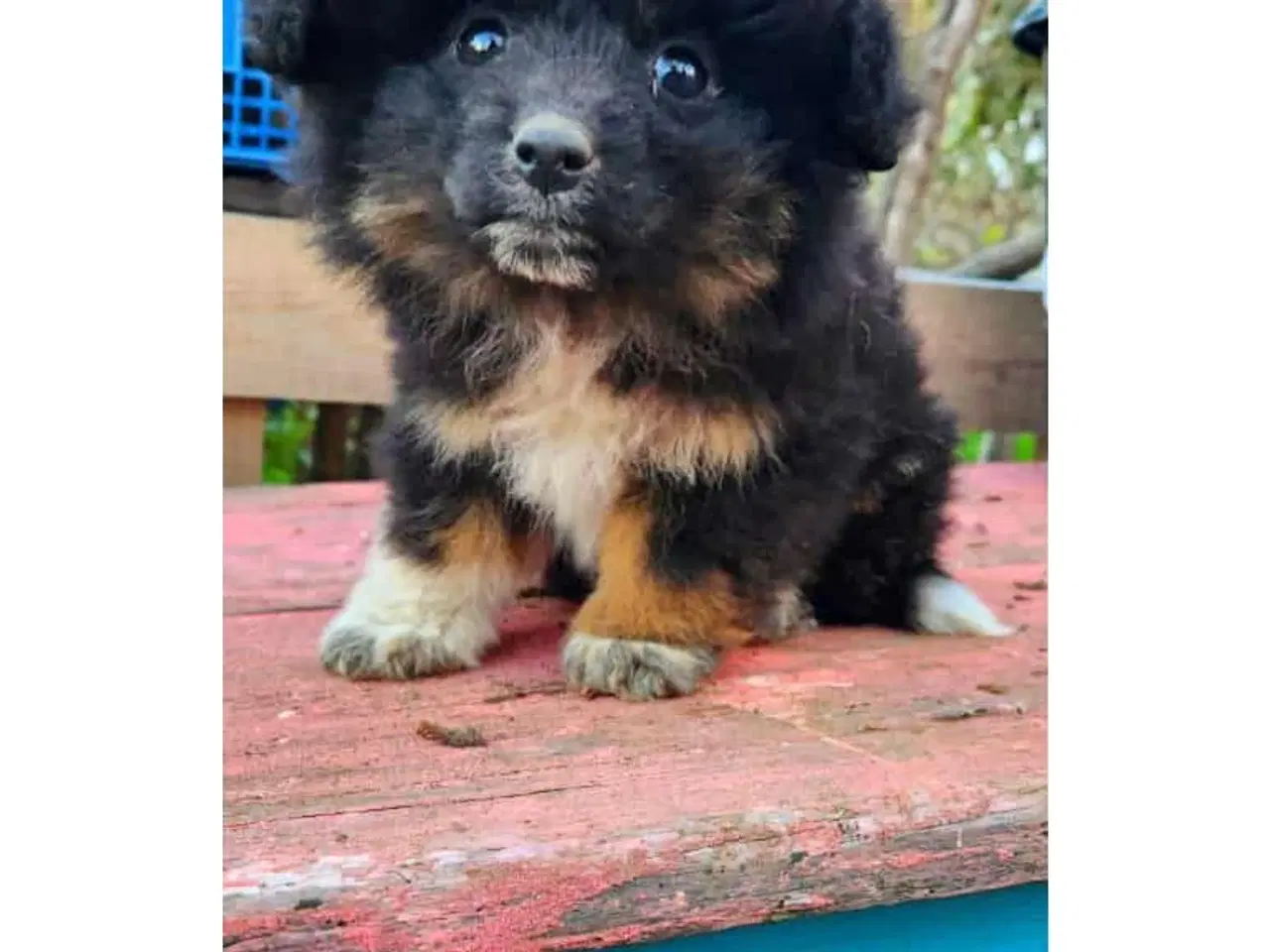 Billede 6 - Charme selvtillid og lækkert hår